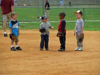 IMG_0092Pb.jpg