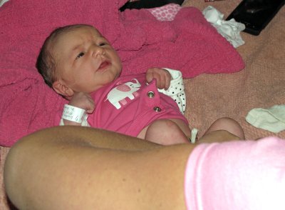 IMG_0138-Pb.jpg