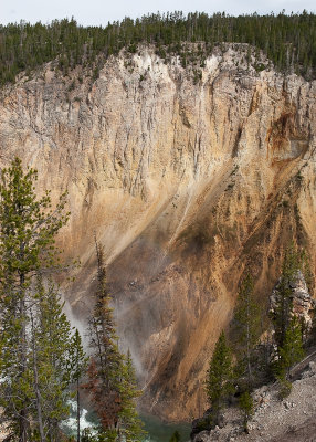 Grand Canyon of the Yellowstone near the Lower Falls