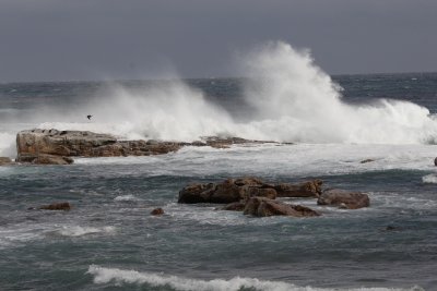 Waves crashing near the Cape of Good Hope