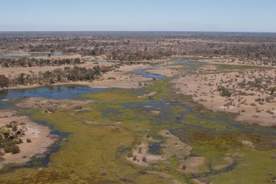 The Okavango Delta from the Air