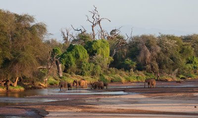 Uaso Nyiro River