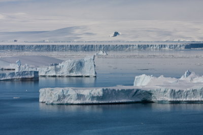 Tabular Icebergs