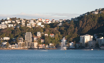 Wellington Harbor