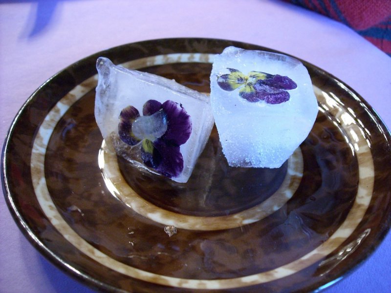 20081130-Ice-cubes with flowers.JPG