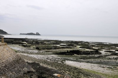 Cancale-Oysters 01.JPG