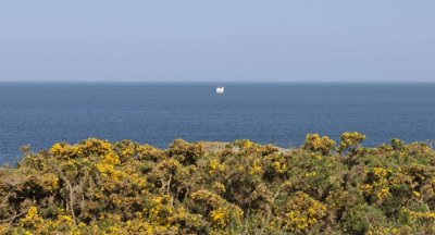 Cancale-Pointe du Grouin-Solo.JPG