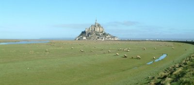 Mont-Saint-Michel and Sheeps (Pré-salé).JPG
