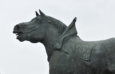 20120505-Lennik.JPG