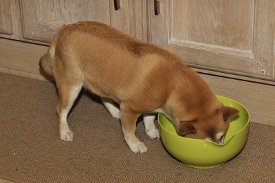 20120511-Yummy.JPG