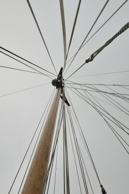 _PFQ3116a.JPG