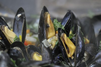20120713-More mussels