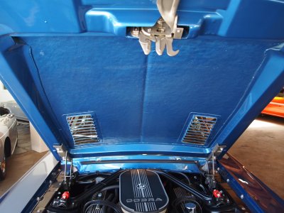 shelbybeverlyhills2011-08-06_1.JPG