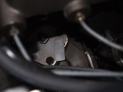 shelbybeverlyhills2011-08-06_64.JPG