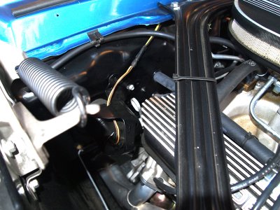 shelbybeverlyhills2011-08-06_82.JPG