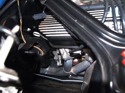 shelbybeverlyhills2011-08-06_83.JPG