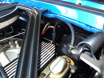 shelbybeverlyhills2011-08-06_84.JPG