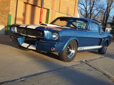 66shelby