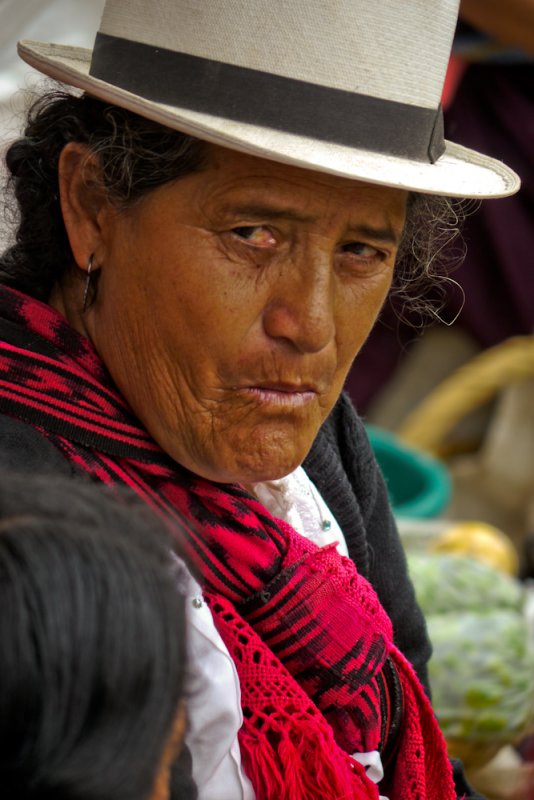 Market woman, Paute, Ecuador, 2011