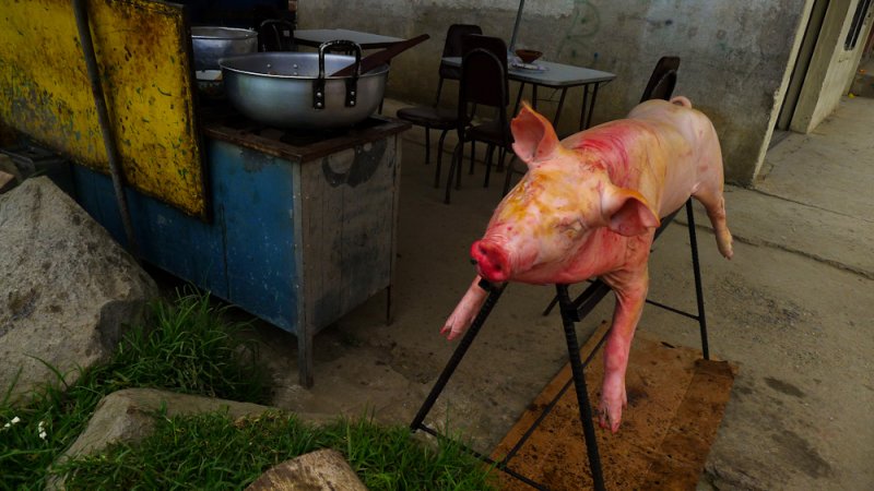 Roasted pig, Sayausi, Ecuador, 2011