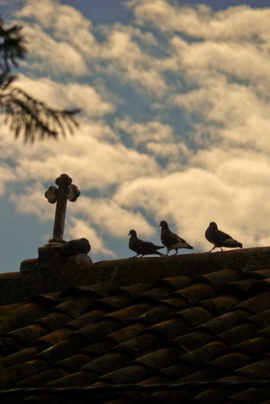 Three birds on church, Paccha, Ecuador, 2011