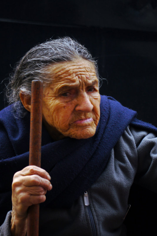 Matriarch, Cuenca, Ecuador, 2011