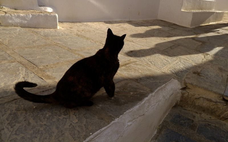 Stalker, Lindos, Rhodes, Greece, 2011