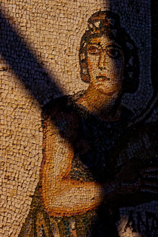 Mosaic, Pafos, Cyprus, 2011