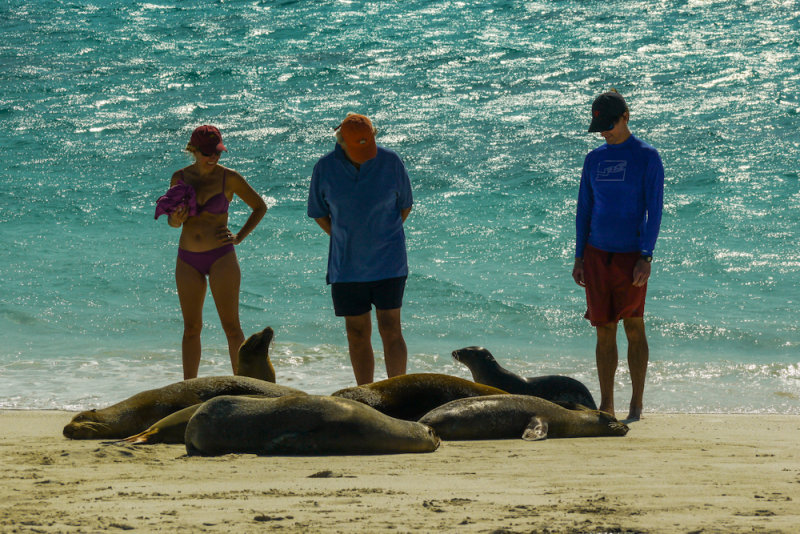 Tourists and Sea Lions, Gardner Bay, Espanola Island, The Galapagos, Ecuador, 2012