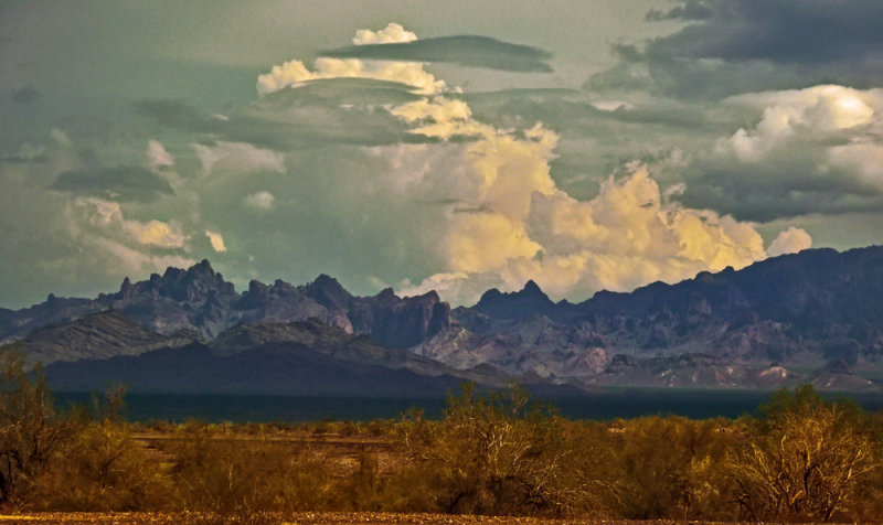 Eagletail Wilderness Area, near Tonopah, Arizona, 2012