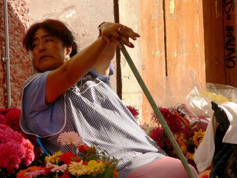 Flower Vendor, Plazuela del Baratillo, Guanajuato, Mexico, 2005