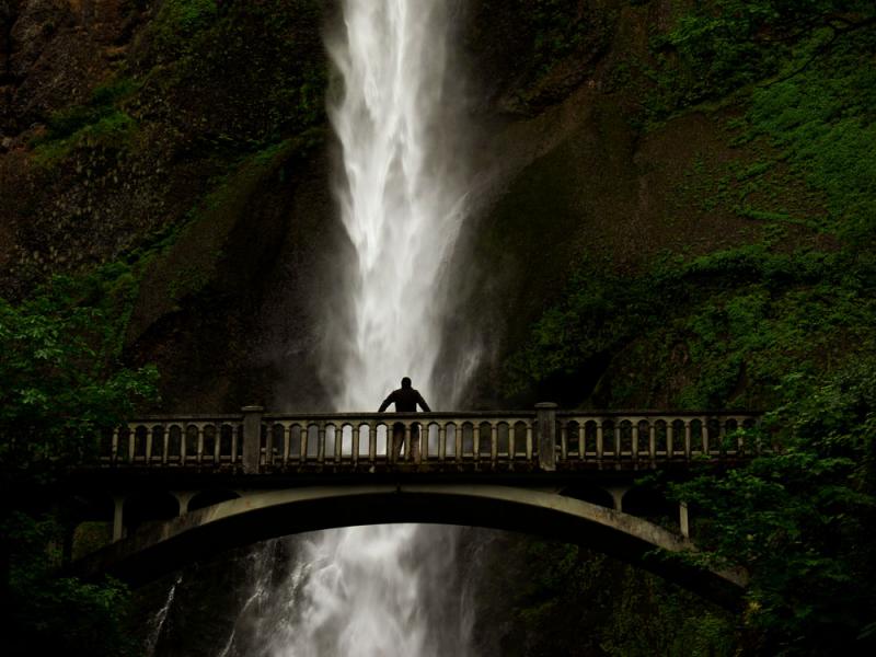 Facing the fall, Portland, Oregon, 2006