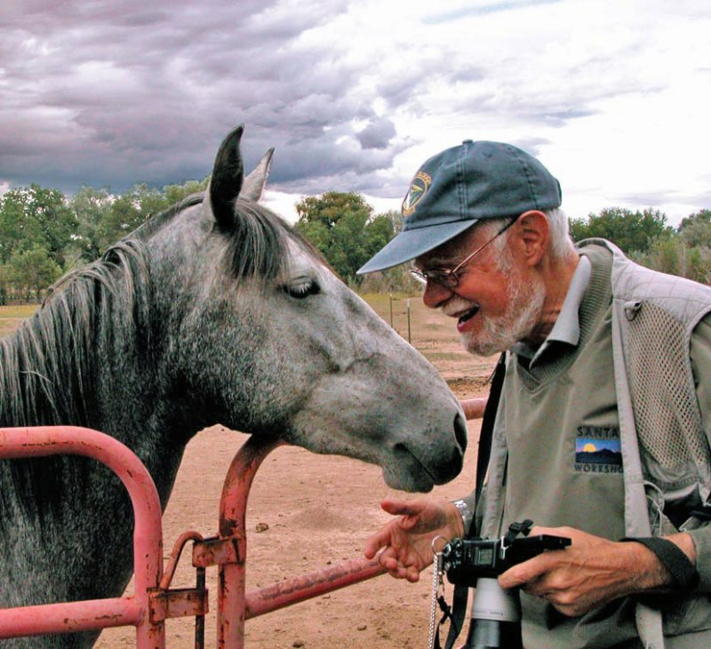 Equine indifference, by Tim May, Santa Fe, New Mexico, 2003