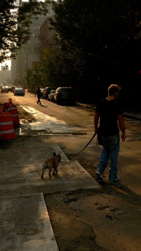Walking the dog, Houston Street, New York City, 2006