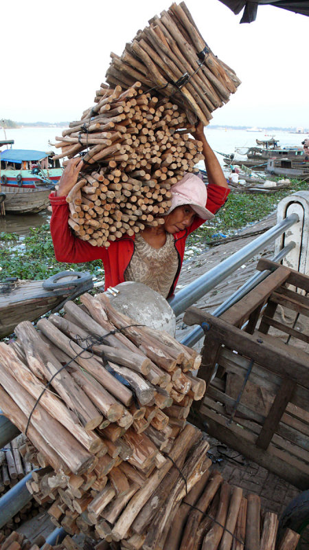 Wood carrier, Long Xuyen, Vietnam, 2008