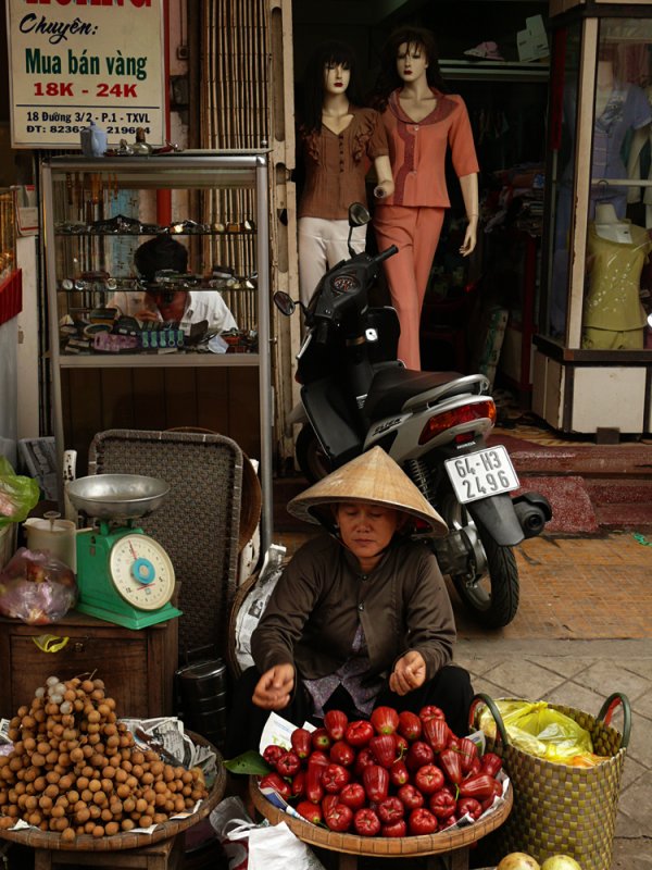 Economics of the street, Vinh Long, Vietnam, 2008