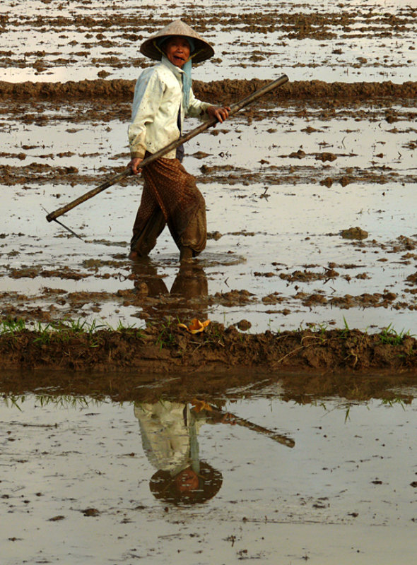 Rice farmer, near Hoi An, Vietnam, 2007