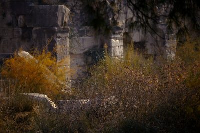 Fallen, Miletus, Turkey, 2011