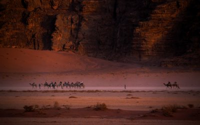 Camels at dusk, Wadi Rum, Jordan, 2011