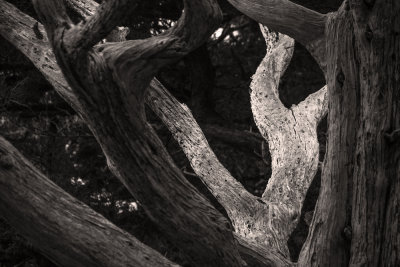 g4/82/265582/3/145746317.TgbshD4H.jpg