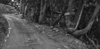 Driveway, Wildcat Hill, Carmel Highlands, California, 2012