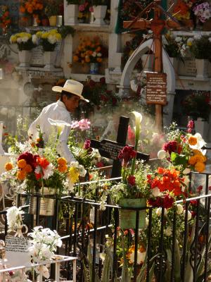 The Festive Field of Death, San Miguel de Allende, Mexico, 2005