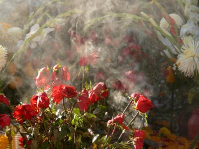 A Cloud of Incense, The Day of The Dead, San Miguel de Allende, Mexico, 2005