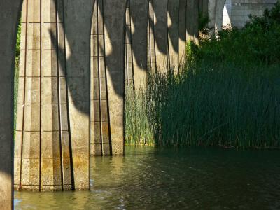 Creek shadows, Reedsport, Oregon, 2006