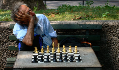 Asleep at the board, Washington Square Park, Greenwich Village, New York City, 2006