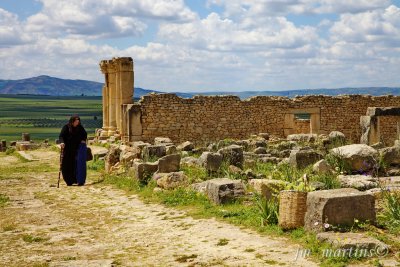 volubilis