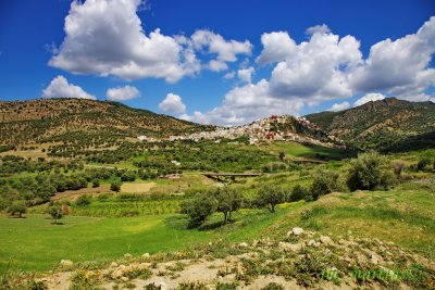 volubilis