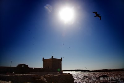 essaouira