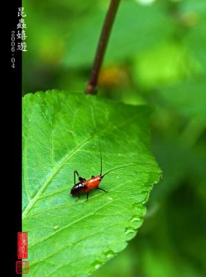 DSC_3480.jpg