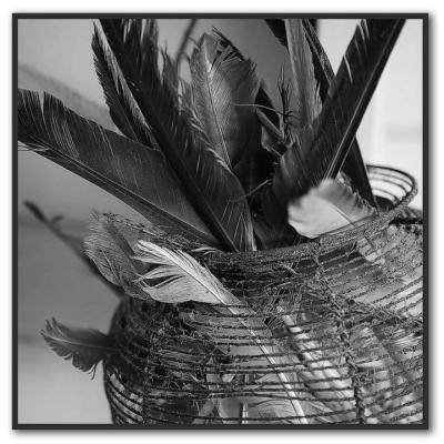 Basket full of feathers